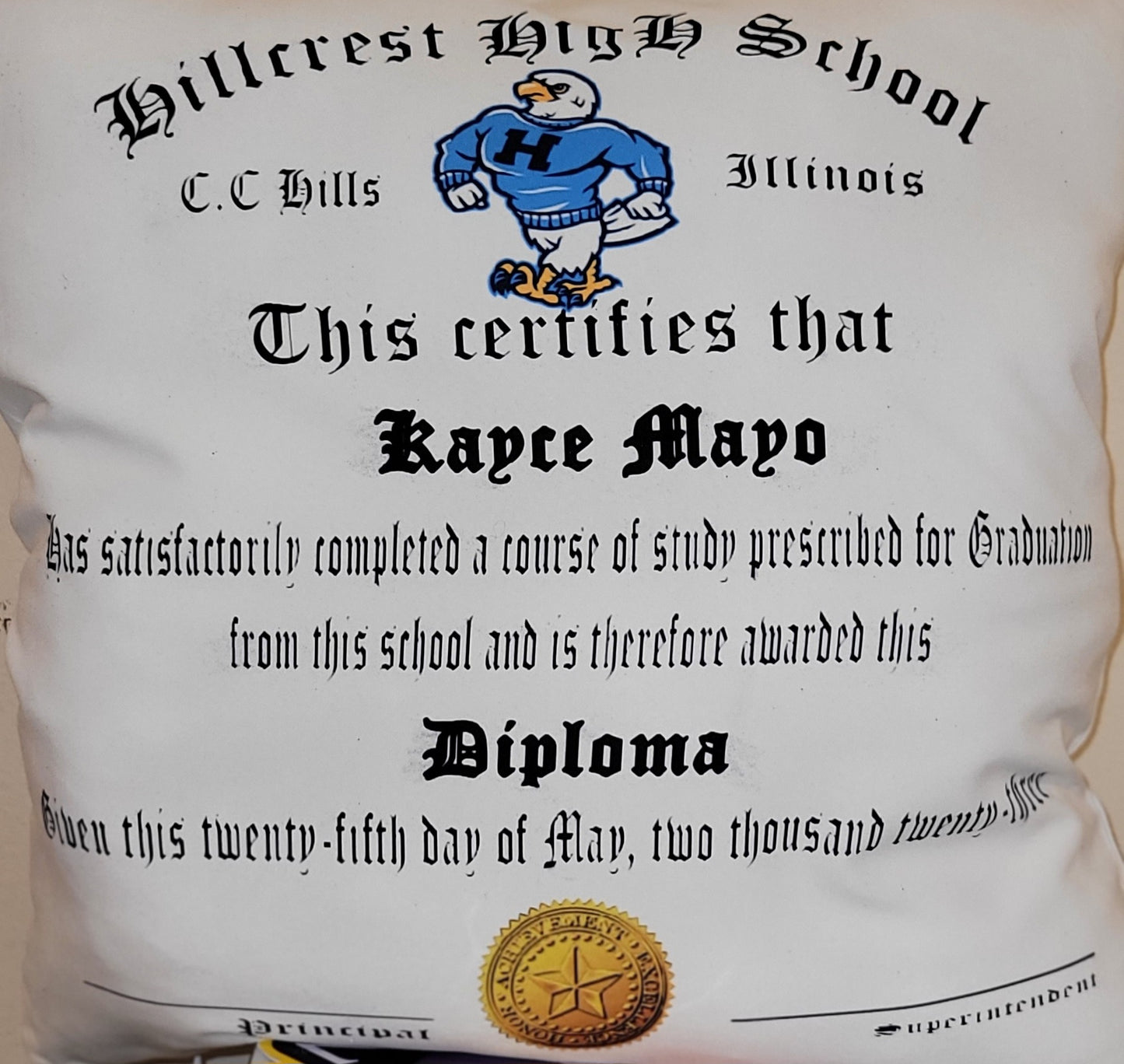 Diploma Pillow